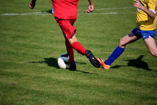 特色足球文化在国际博览会中亮相，展示国家软实力，世界足球文化